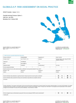 Document-image