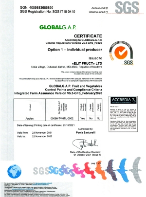 Document-image