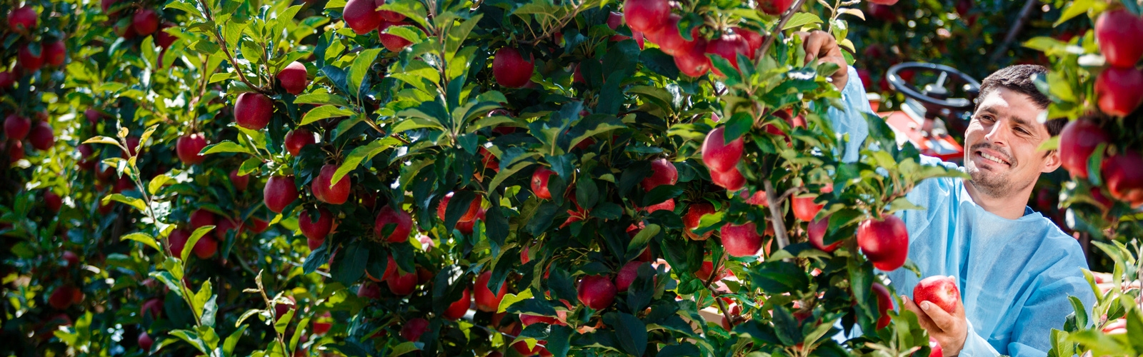 Banner-image