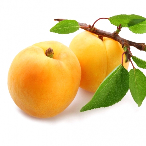 Products-image